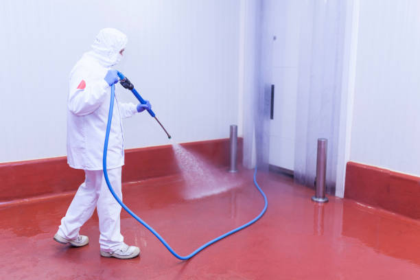 Best Residential Pressure Washing in Woodlawn, VA